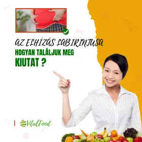 "Az elhízás labirintusa: Hogyan találjuk meg a kiutat?"